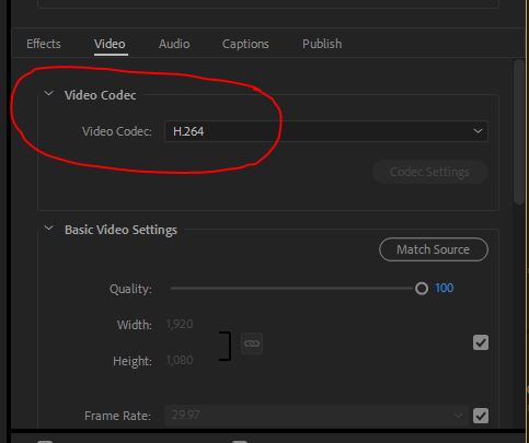 Quicktime settings2.JPG